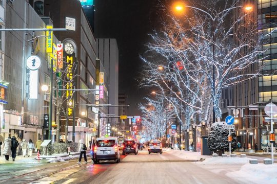 Illuminated street trees lining a snowy Sapporo evening