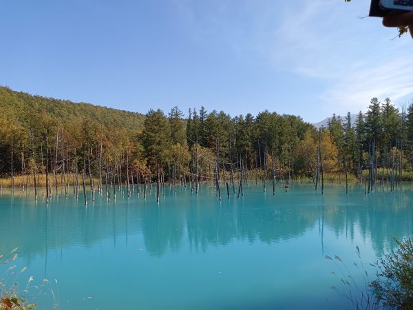 Hokkaido Blue Pond