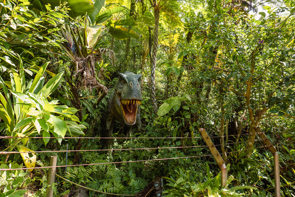 DINO Dinosaur Park Tyrannosaurus and Triceratops figures