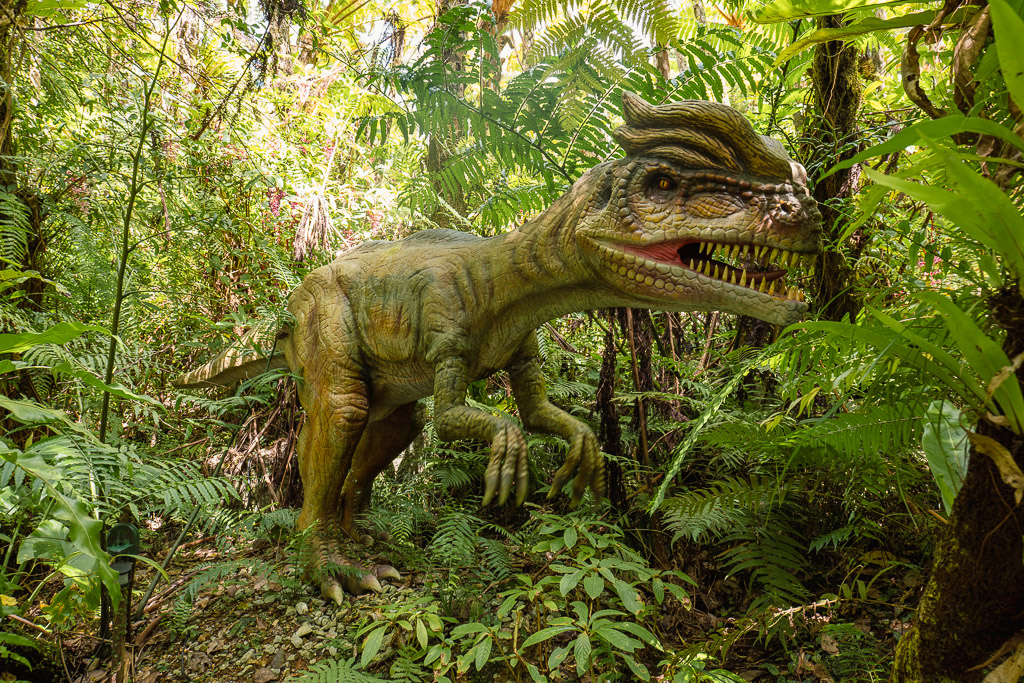 DINO Dinosaur Park subtropical forest trail scenery