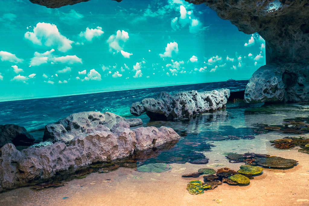 Diorama recreating an Okinawan beach