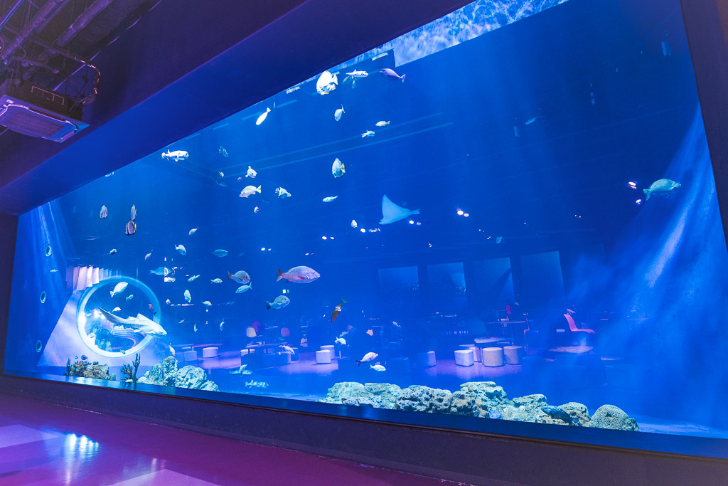 Main tank with stingray and diverse fish species