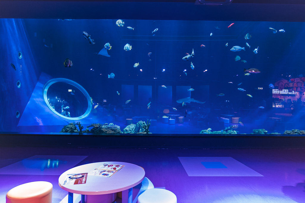 Round porthole view of the main tank