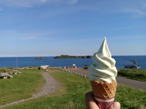 Soft serve ice cream at a Biei or Furano farm in Hokkaido