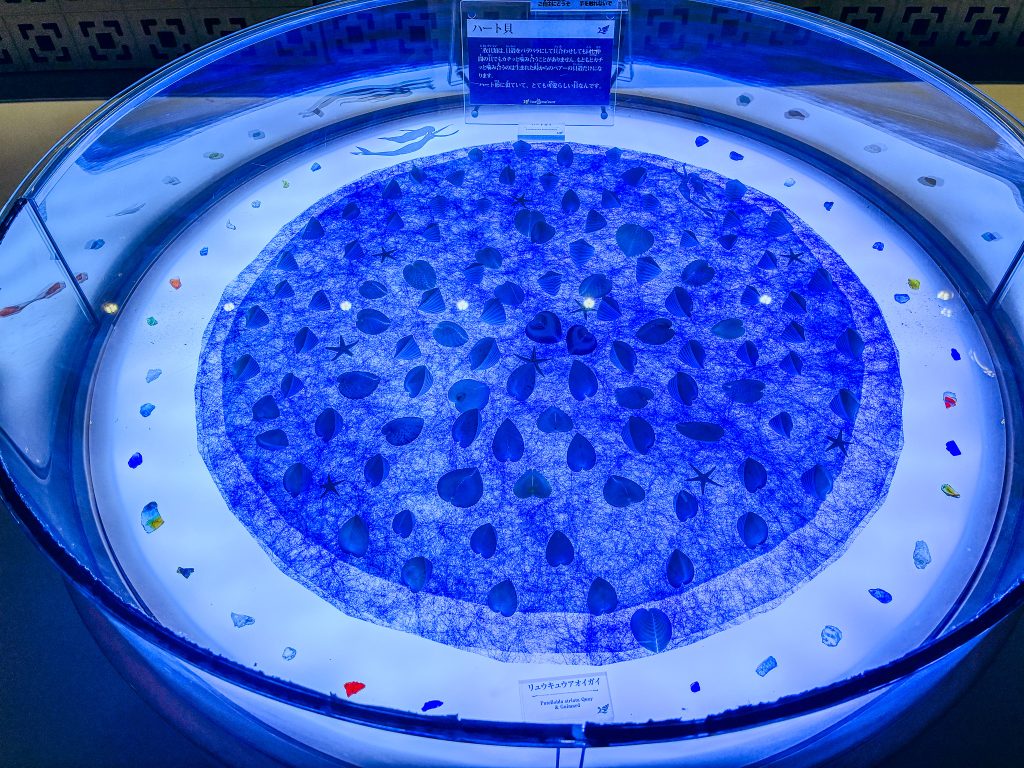 Heart-shaped shell display under blue lighting at Kouri Ocean Tower