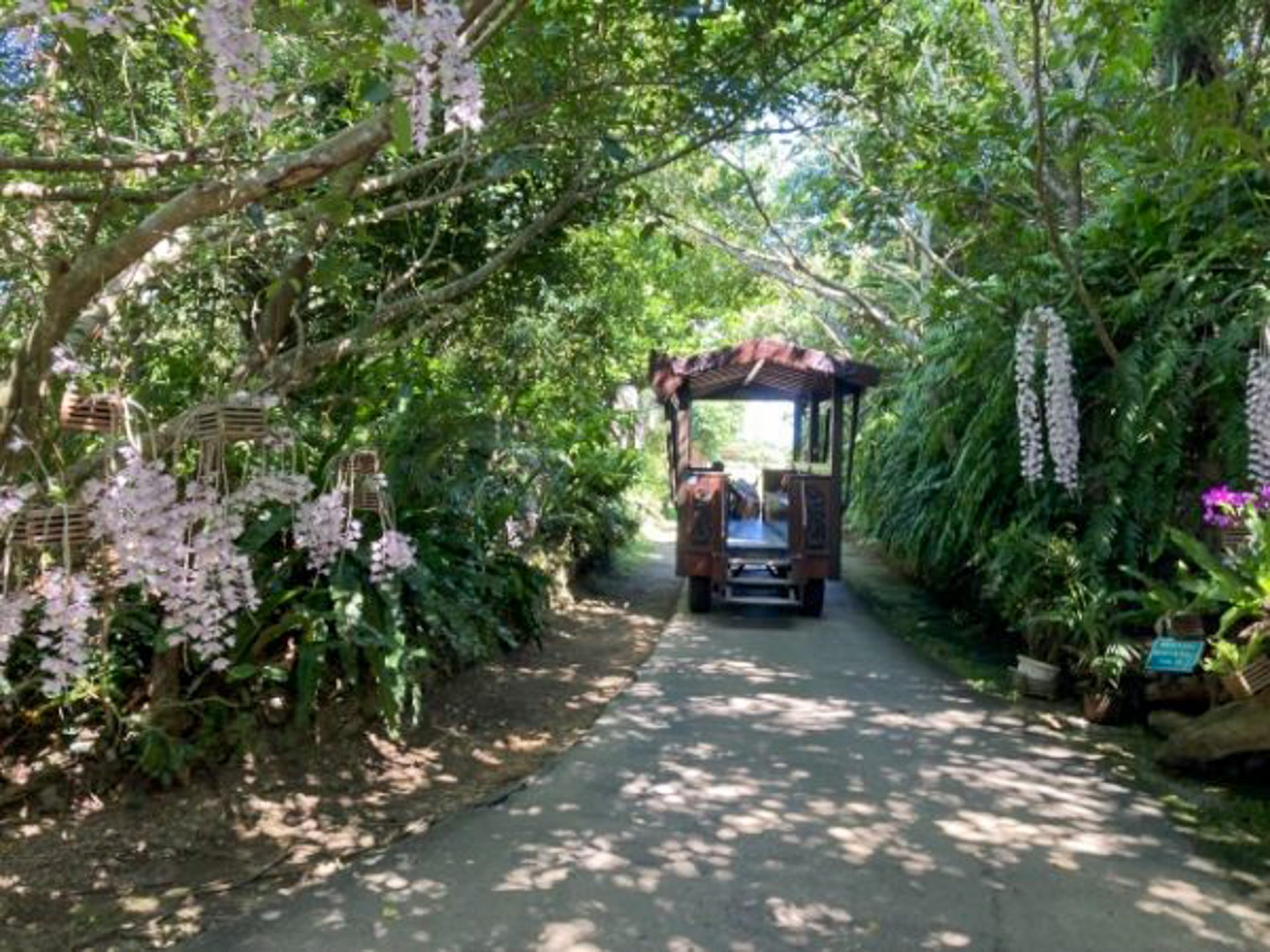 Bios no Oka — hands-on nature park surrounded by lake and subtropical forest