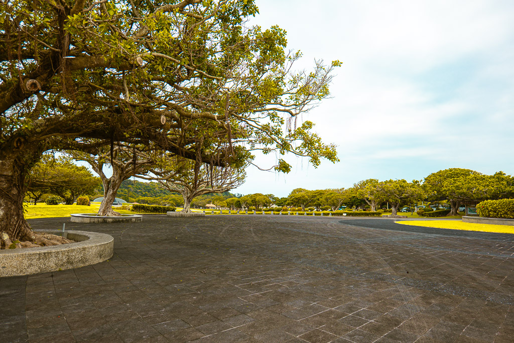 Banyan (gajumaru) trees over a stone plaza in Peace Memorial Park