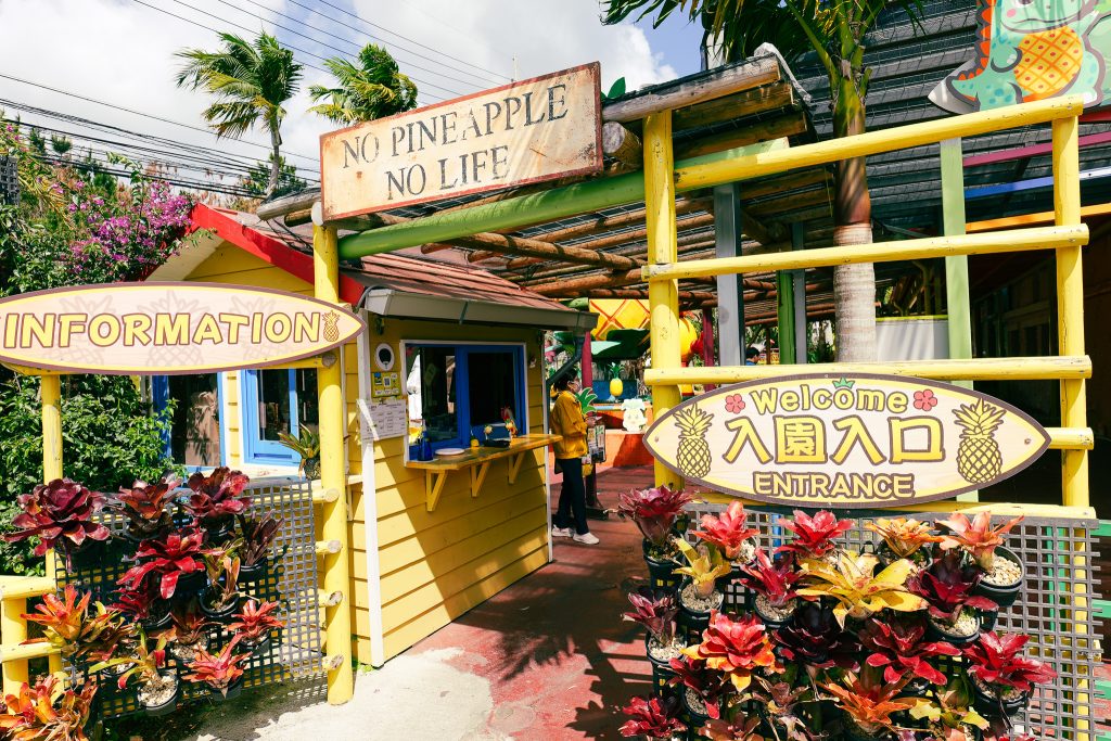 Nago Pineapple Park entrance with NO PINEAPPLE NO LIFE sign Okinawa