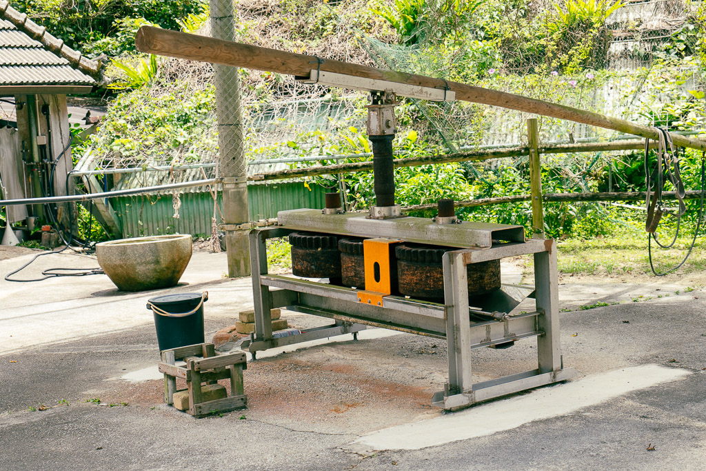 Traditional sugarcane press — wooden buffalo-driven pole and pressing wheel