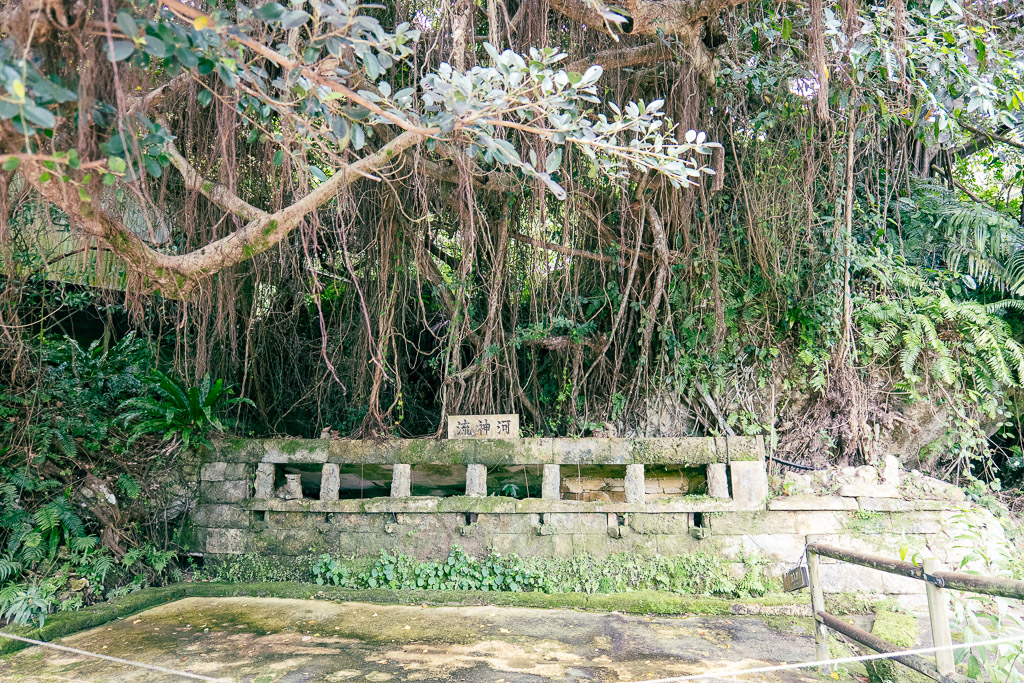 Ugan-jyu sacred spot with hanging aerial roots and stone water basin, a Ryukyuan sacred site