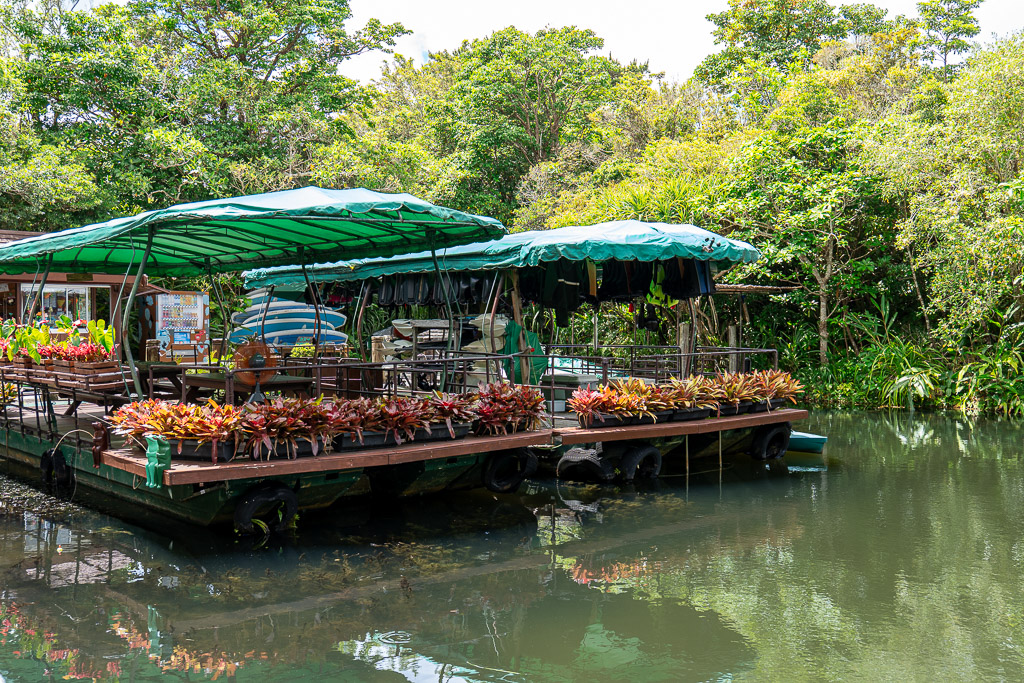 Bios no Oka lake cruise boat — a low wooden tour boat with a green canopy docked beside a lush green lakeshore
