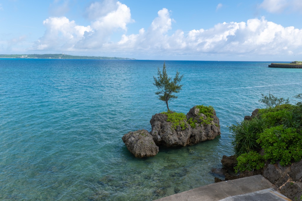 A small rock with a single pine tree growing in turquoise water near Irabu Ohashi Bridge