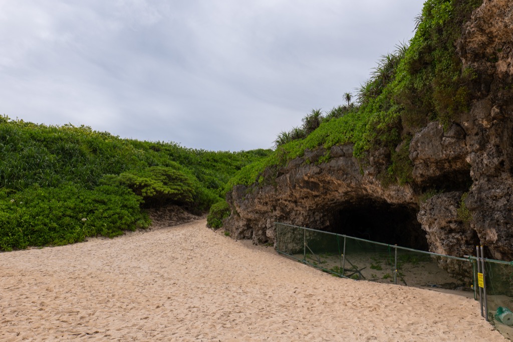 Eroded limestone cliff with cave openings at the edge of Sunayama Beach Miyakojima