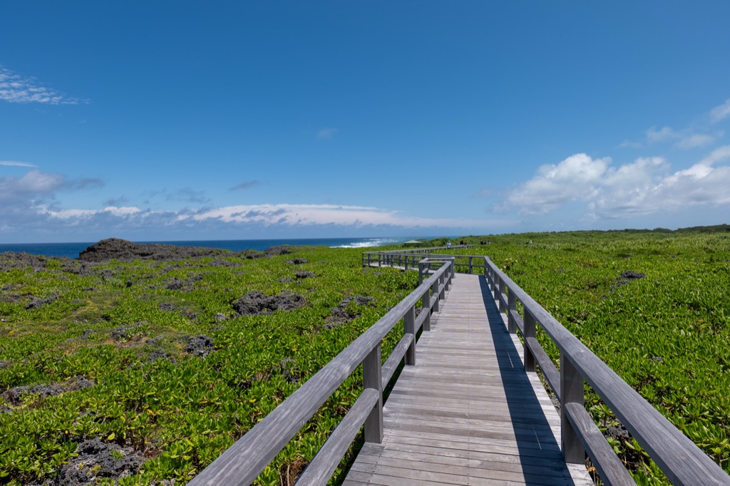 Wooden boardwalk extending over the coastal scrub toward the ocean at Toriike Pond Shimoji Island
