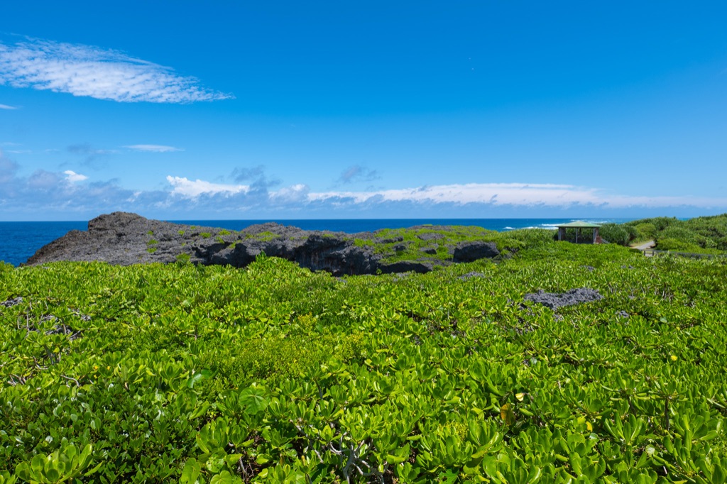 Rugged limestone coastline and turquoise ocean view from Toriike Pond viewing area on Shimoji Island