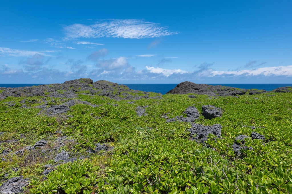 Black volcanic limestone rocks and tropical greenery overlooking the ocean near Toriike Pond