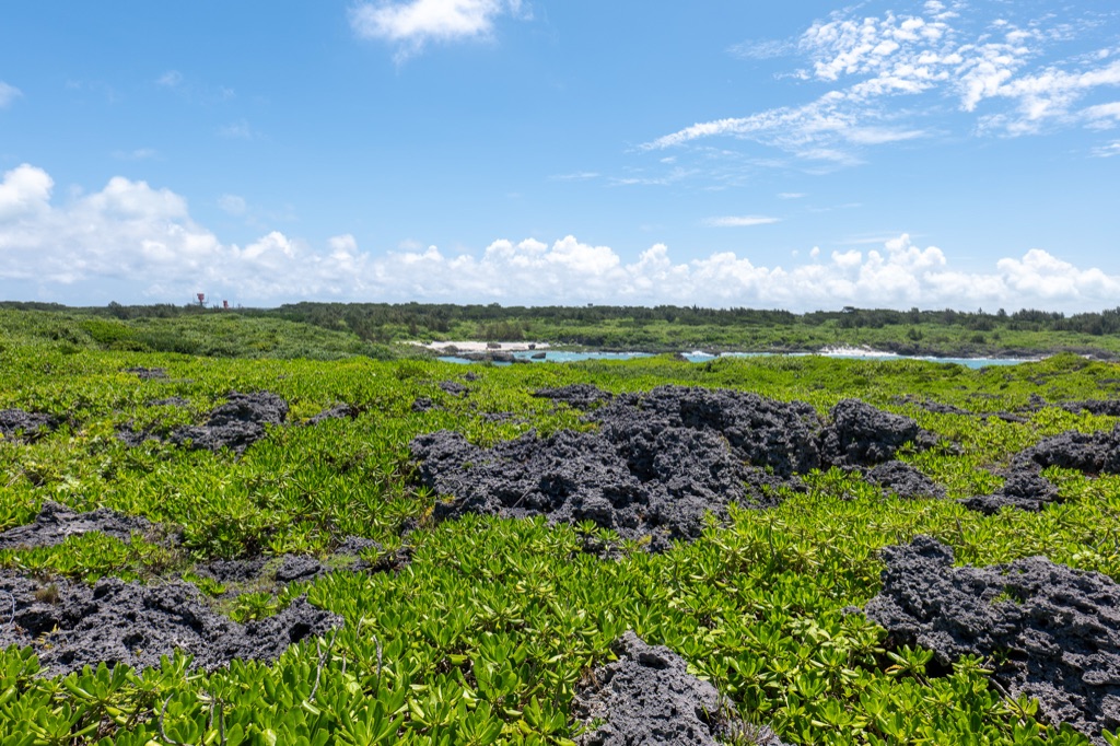 Coastal panorama from Toriike Pond with limestone cliffs, scrub, and the open Pacific