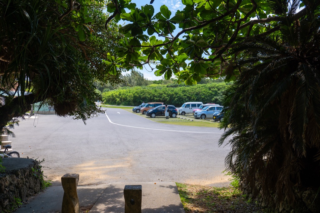 View of Toriike Pond parking lot through tropical trees on Shimoji Island Miyakojima