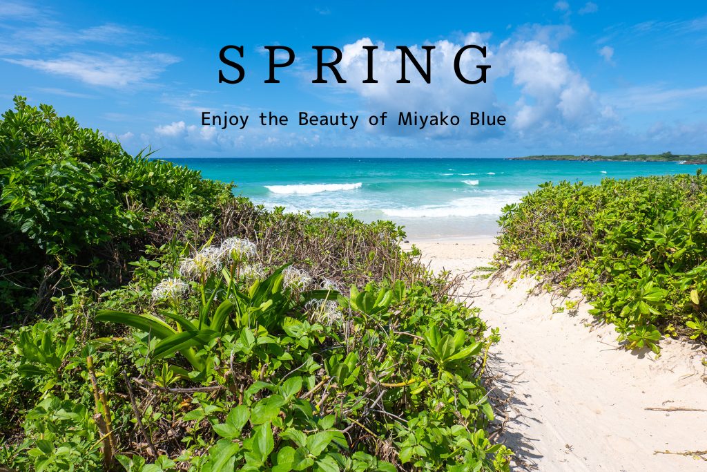 Spring on Miyako Island — white sand, Miyako Blue sea and lush green coastline