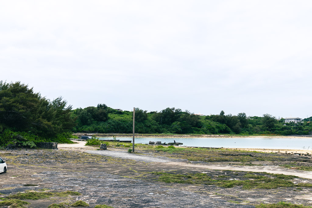 Ojima coastline — coral-reef shore, grass and quiet sea