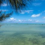 okinawa-islands-daytrip-drive_04