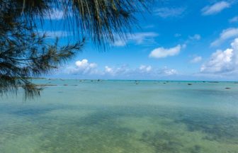 okinawa-islands-daytrip-drive_04