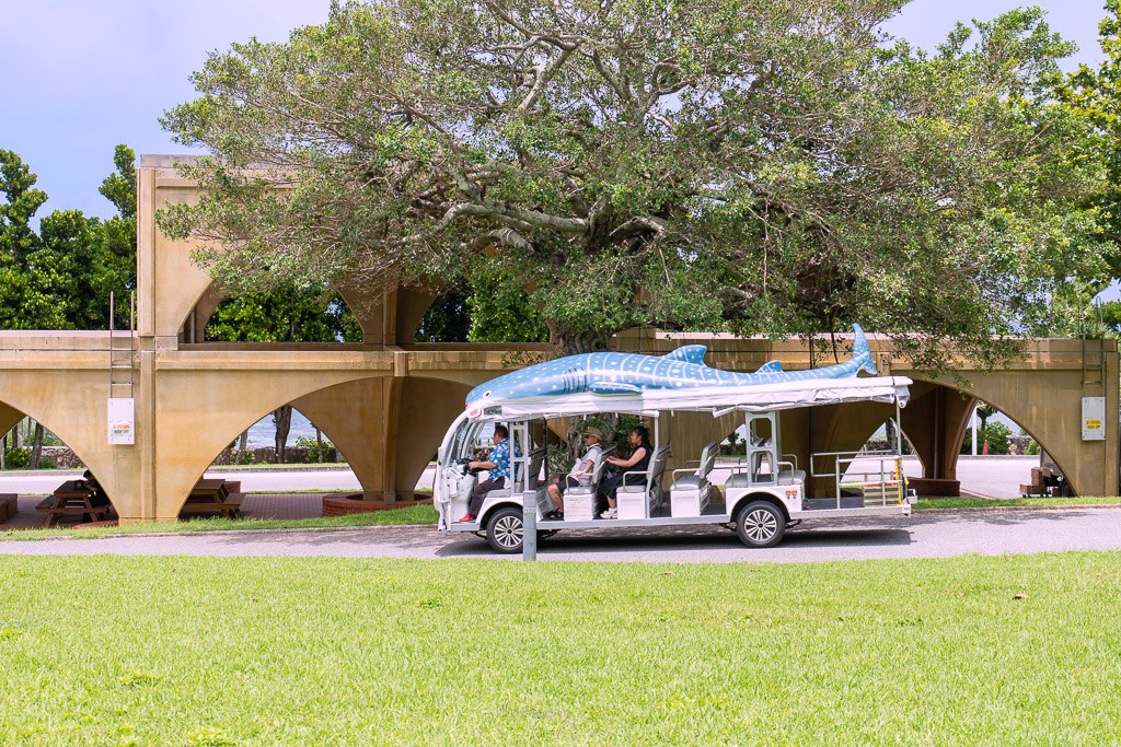 Whale-shark-painted electric shuttle cart driving through Ocean Expo Park in Okinawa