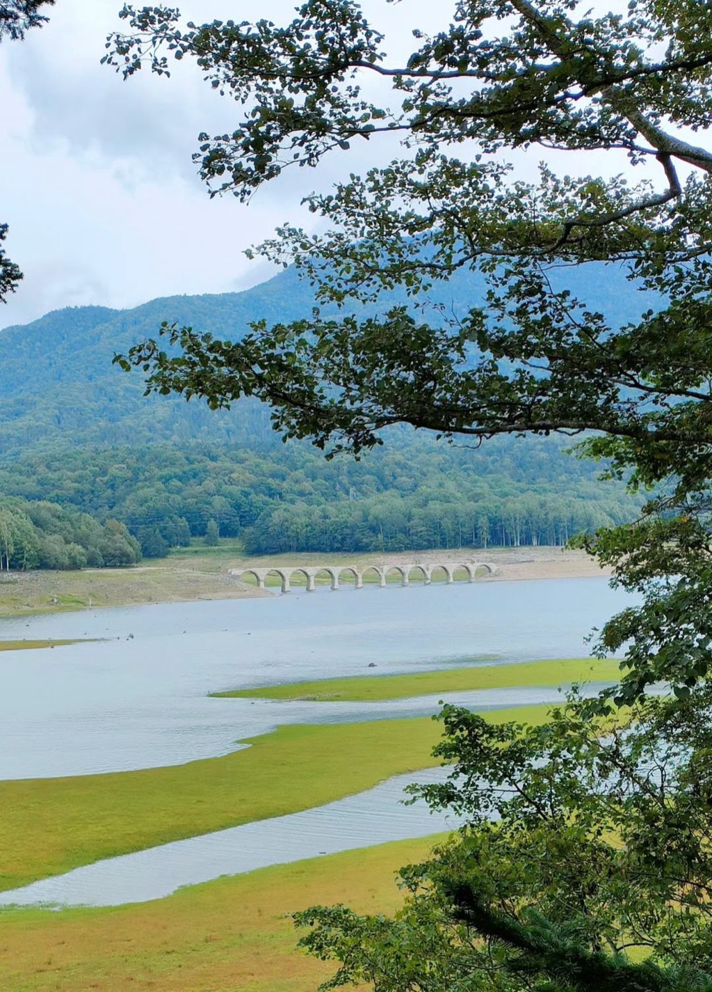 Taushubetsu River Bridge in August — the concrete arch bridge rising from a shrinking Lake Nukabira