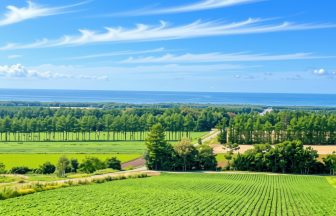 hokkaido-july-weather_04