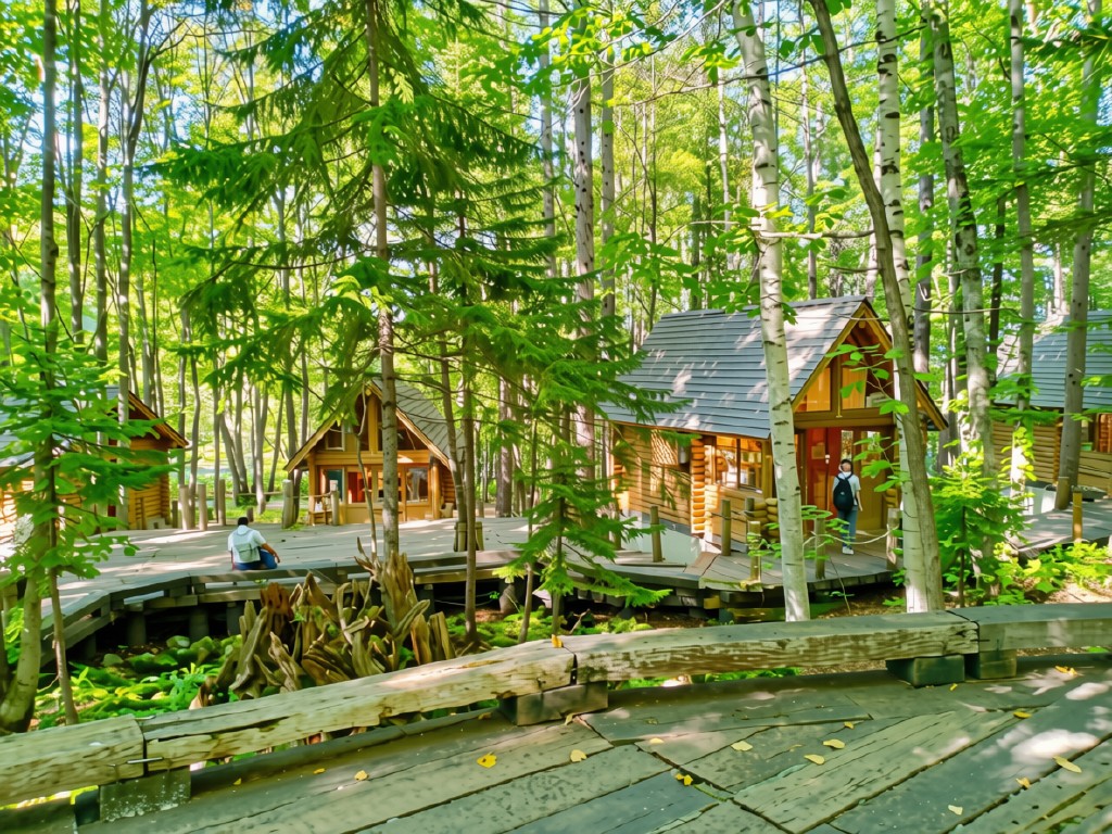 Hokkaido weather in July at Ningle Terrace, Furano — glowing craft cabin among the trees in the evening