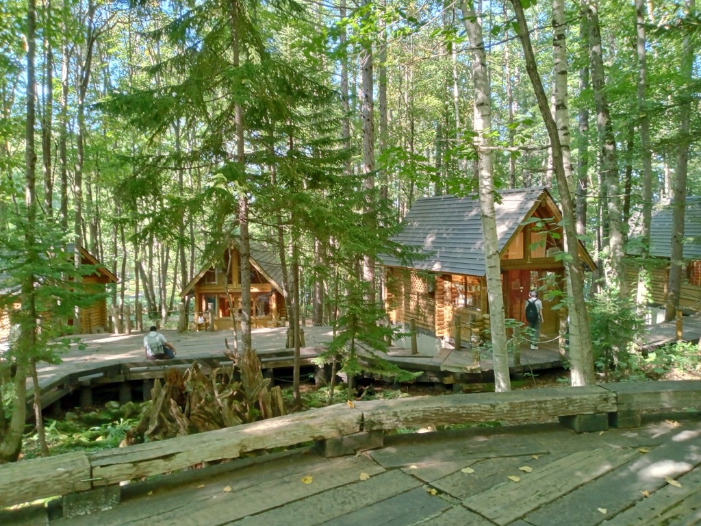 Ningle Terrace in Furano — wooden craft cabins on elevated boardwalk through birch forest, September