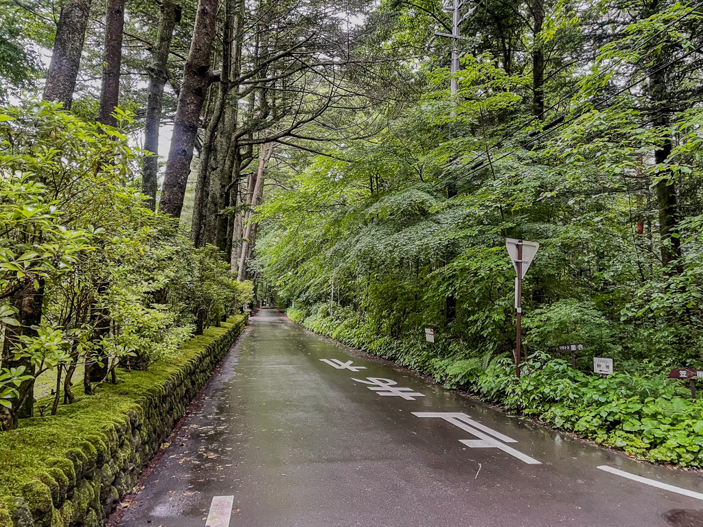 Driving a Nagano rental car through a quiet rainy Karuizawa villa road lined with tall cedar trees