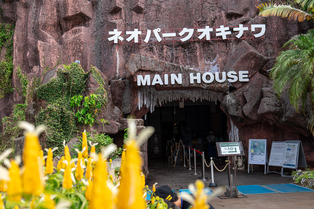 Yellow tropical flowers in front of the Main House entrance at Neo Park Okinawa
