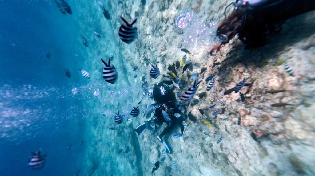 Checklist infographic for Okinawa Blue Cave tour booking