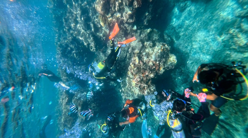 FAQ guide graphic for Okinawa Blue Cave snorkeling and diving