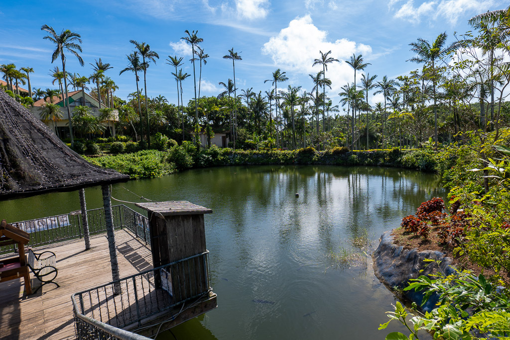 Wooden viewing deck over a palm-fringed lake at Southeast Botanical Gardens Okinawa