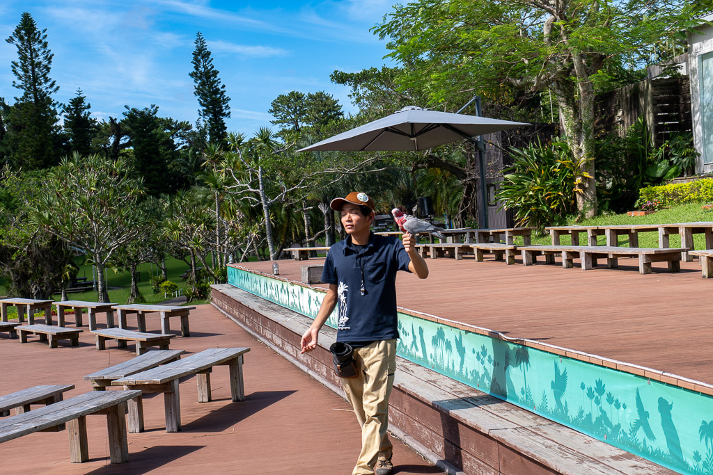 Keeper holding a parrot on a wooden deck during the bird show at Southeast Botanical Gardens
