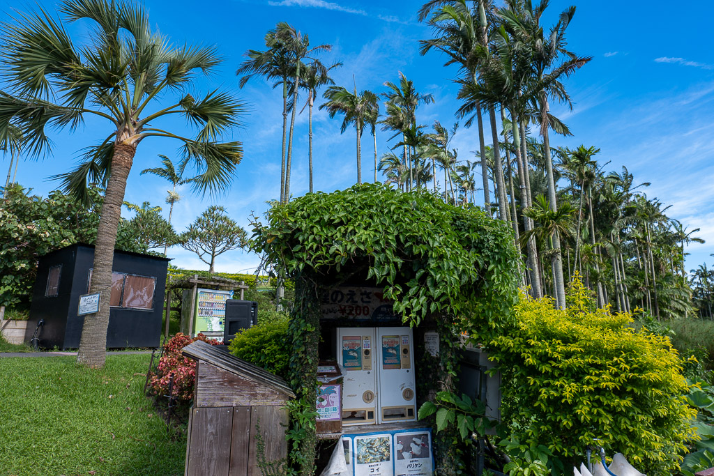 Vine-covered koi-feed vending machine under palm trees in the garden