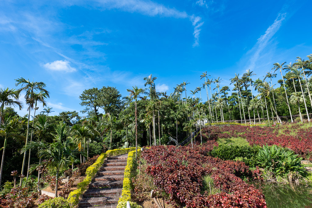 Brick steps climbing through red and yellow foliage beds toward tall palms