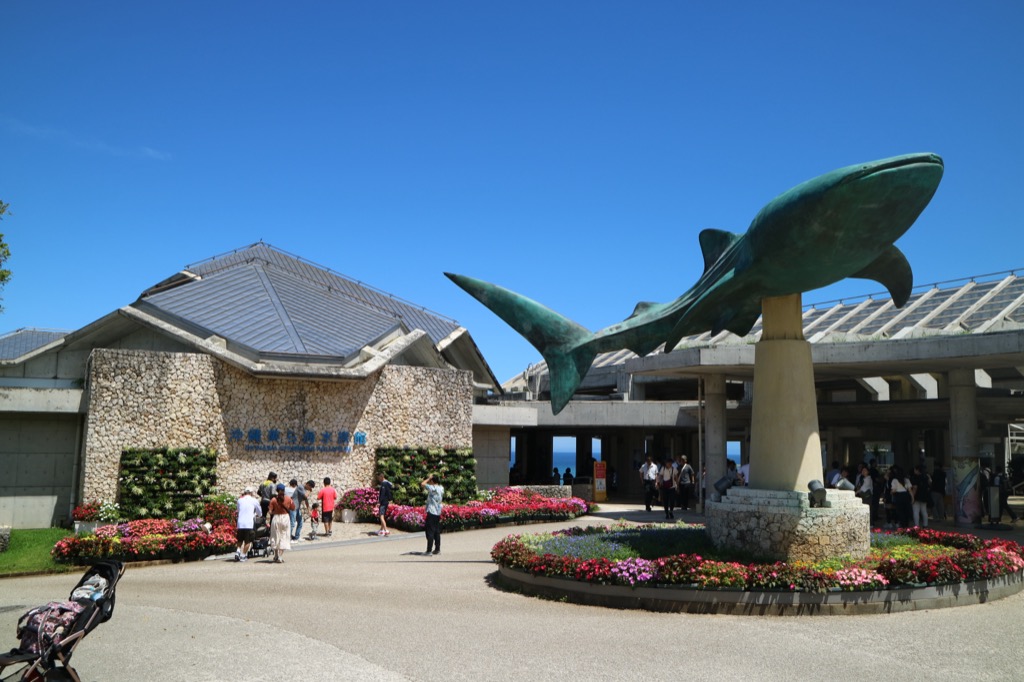 Okinawa Churaumi Aquarium main entrance with bronze whale shark sculpture and flower beds under blue sky