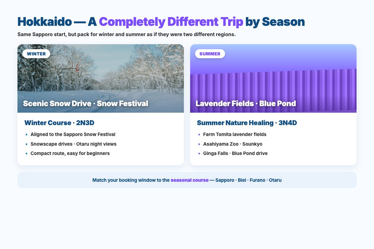 Compare Hokkaido winter snow drive against summer lavender-field itineraries