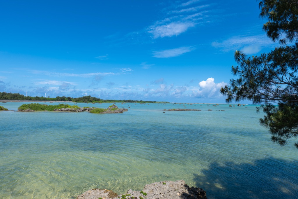 Sawada-no-hama Beach on Irabu Island framed by pine trees with turquoise shallow water and coral boulders