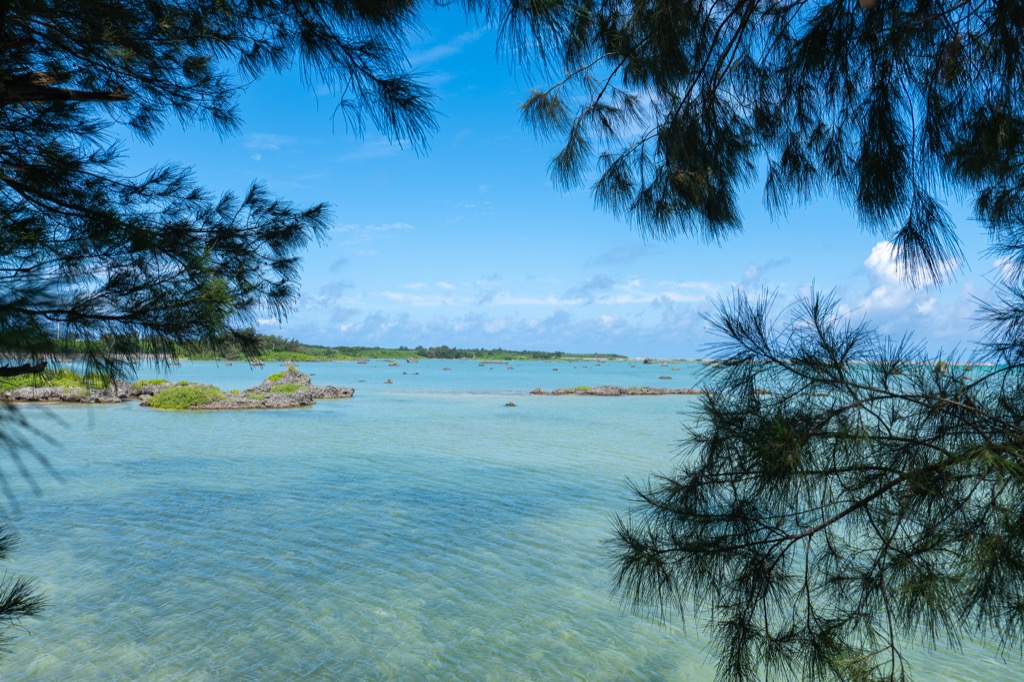 Sawada-no-hama Beach framed through pine branches with quiet turquoise cove and low tide