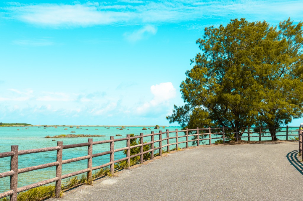 Wooden fence walkway lined with pine trees leading along Sawada-no-hama Beach on Irabu Island