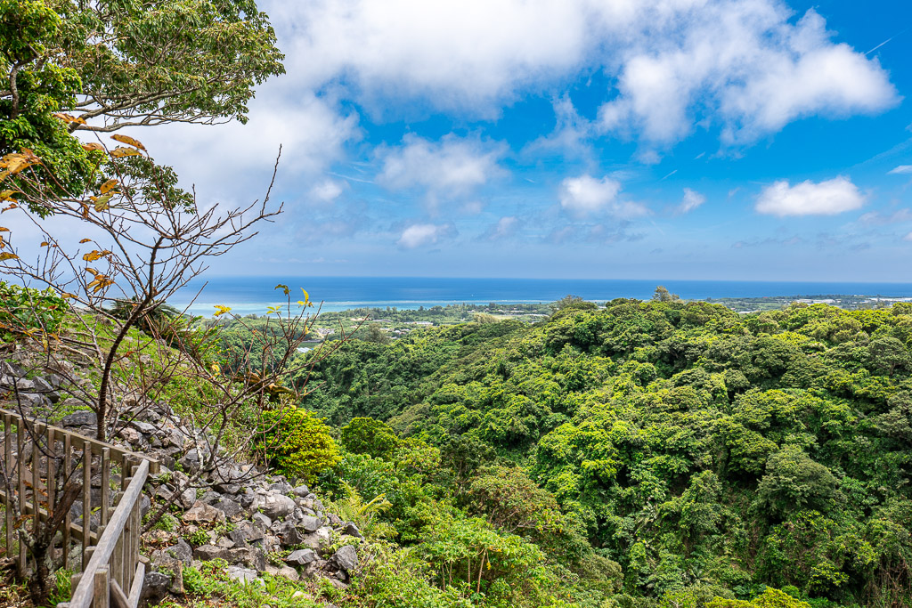 Panoramic view from Nakijin Castle Ruins looking north across forested hills toward the East China Sea