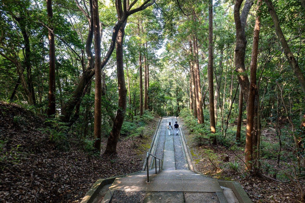 Woodland steps leading toward Takamiya ritual site