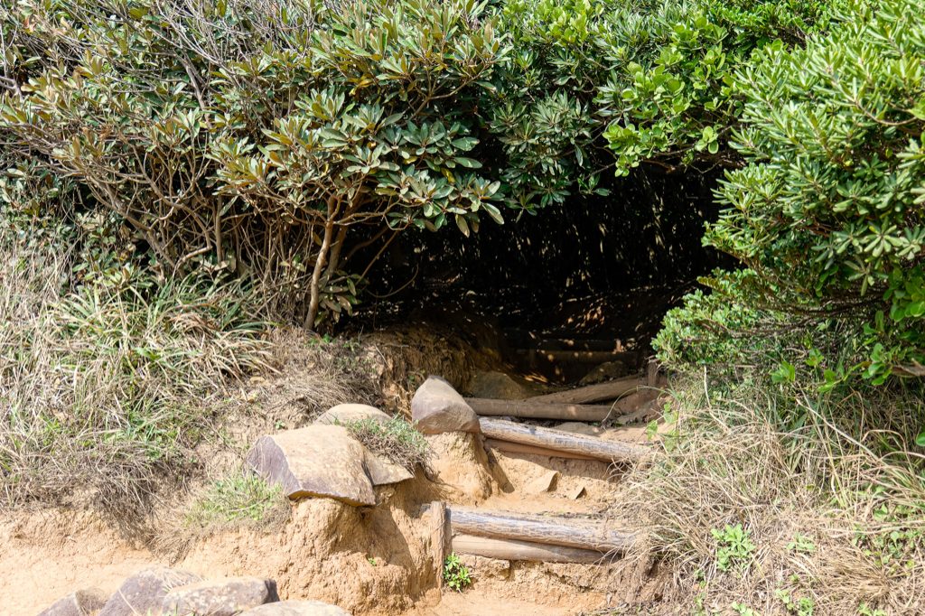 Entrance to the green tunnel walking path through a small shrine gate at Itoshima Totoro Forest
