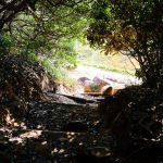 itoshima-totoro-forest-meotoiwa-drive_thumbnail
