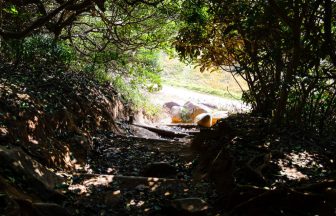 itoshima-totoro-forest-meotoiwa-drive_thumbnail