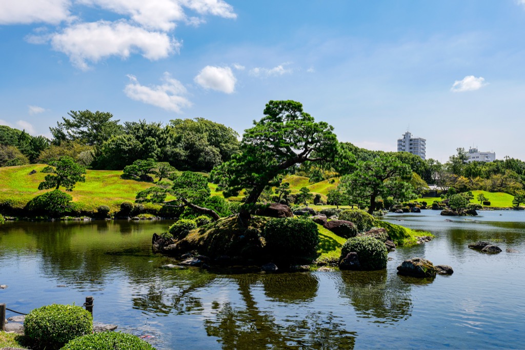 Pines and walking path in Suizenji Garden